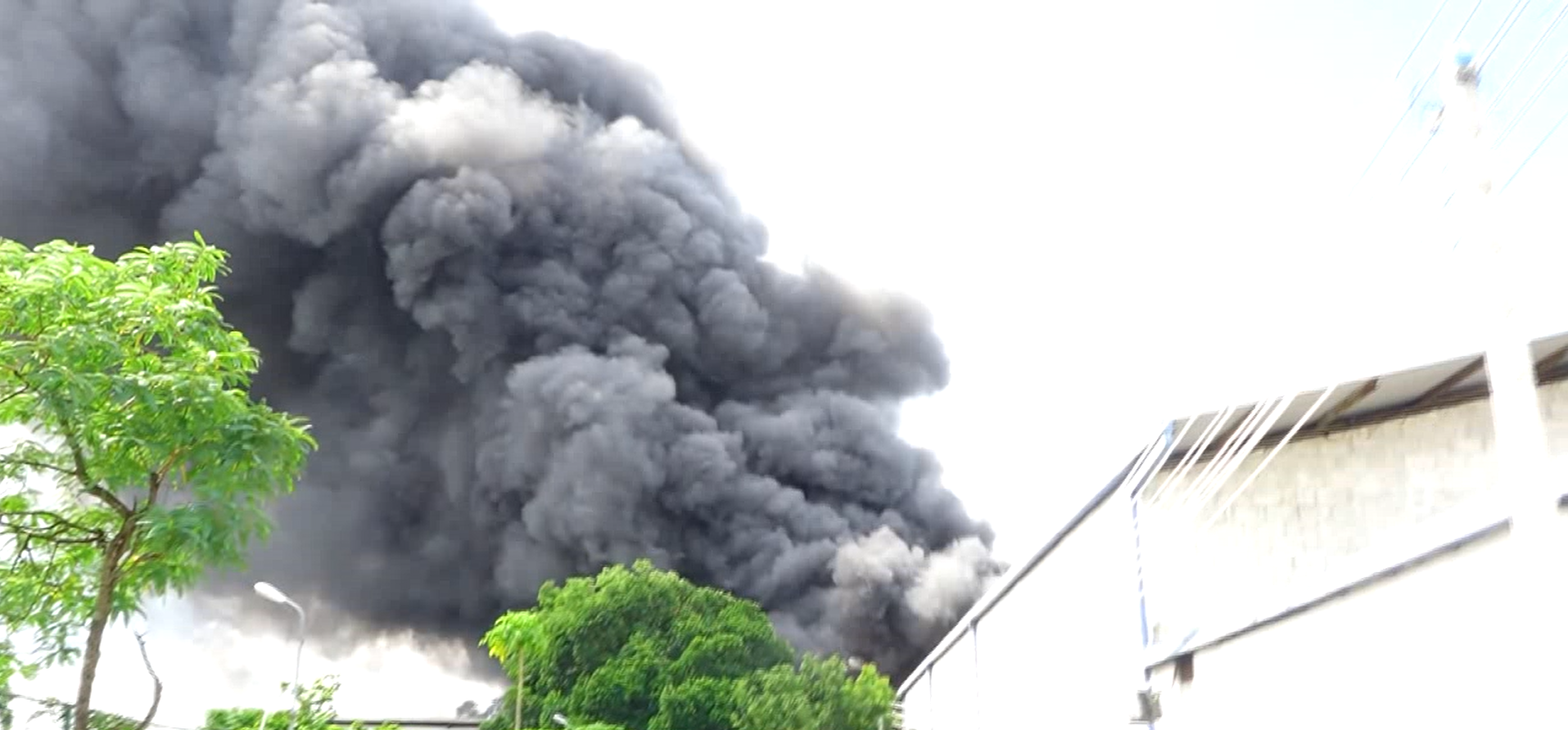 The Deputy Labour Minister has called for a full investigation into the fire that killed five people at a helmet factory in Homagama
