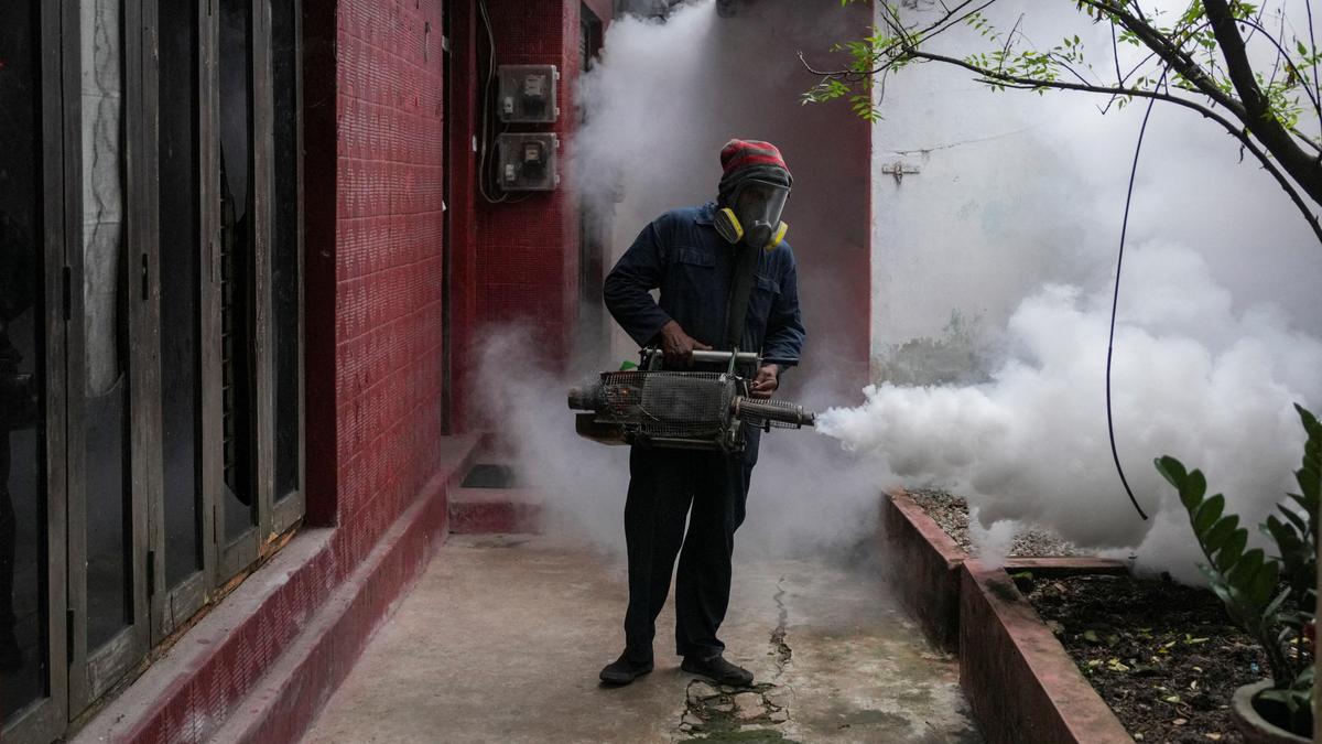 Over 53,000 cases of dengue have been recorded this year