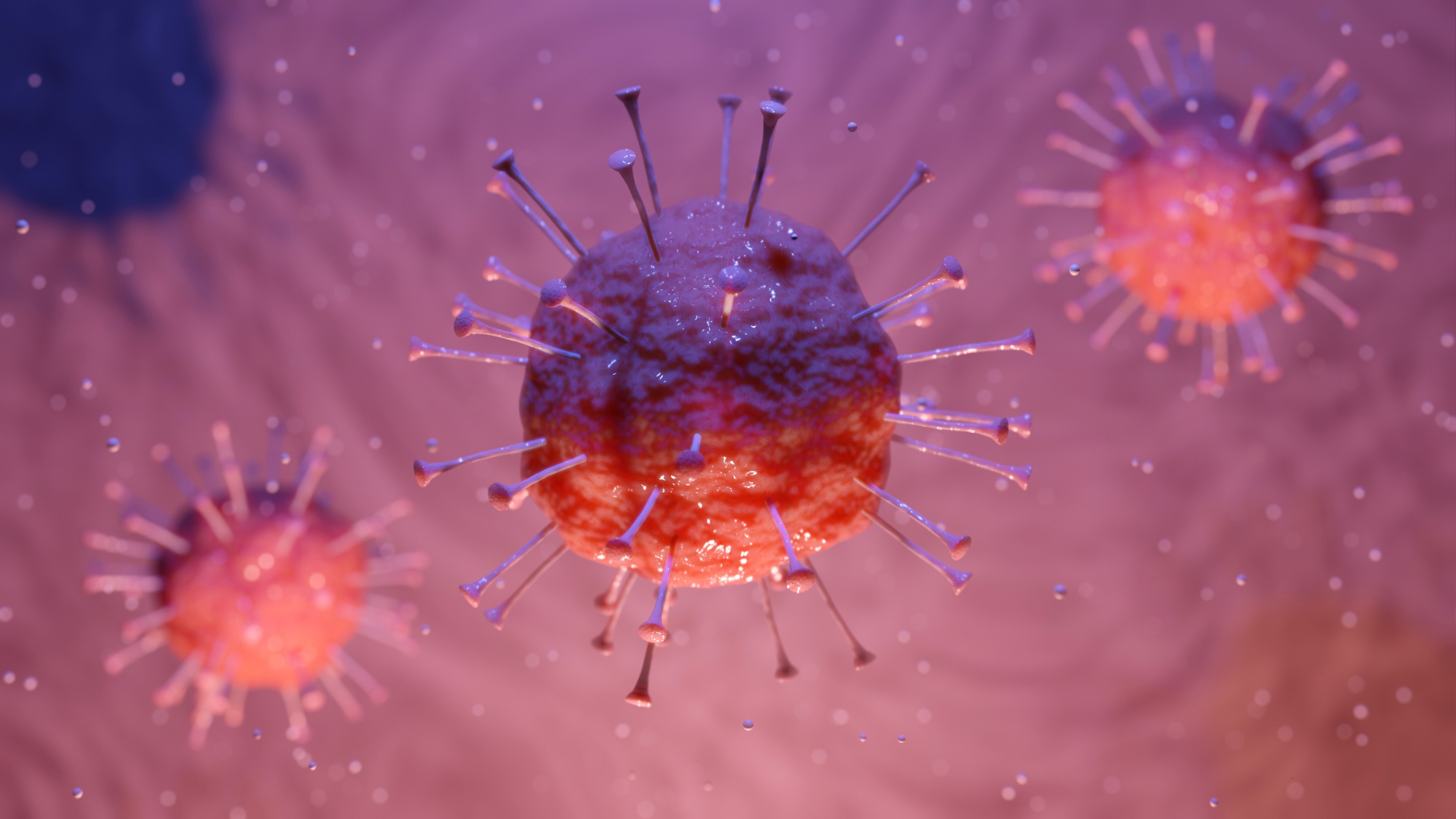 Sri Lanka’s Health Ministry has issued guidelines to control a Meningitis outbreak